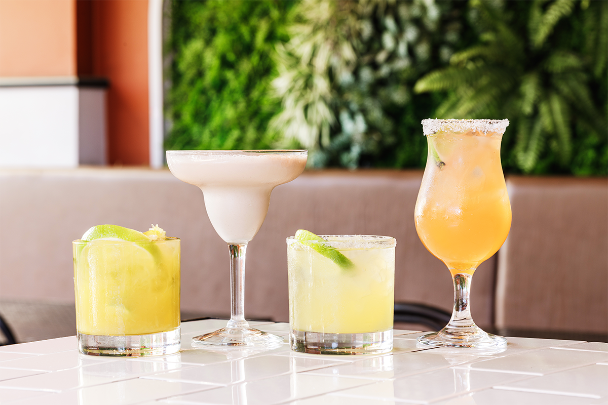 076_TRAVELINSTITUTE_DAMIEN_ROYAL_596